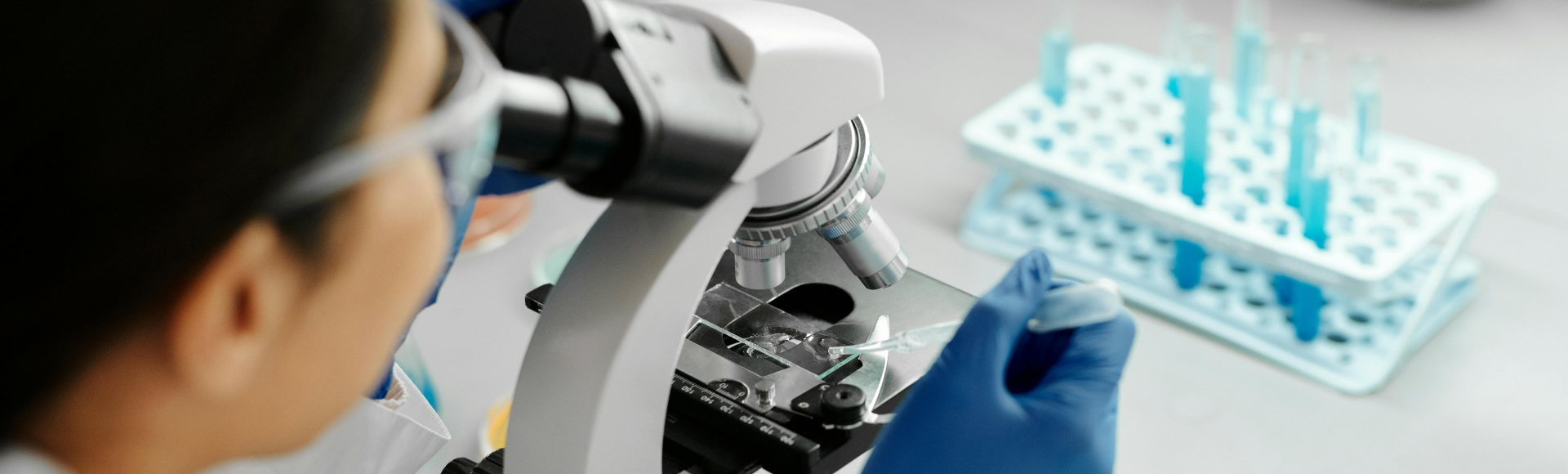 联系mansion88明升